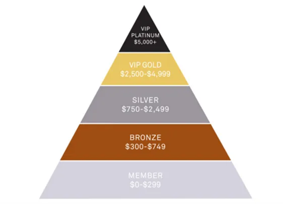 Fragmented Loyalty: The Hidden Math That Keeps Multi-Mirror Players Stuck at Bronze Forever